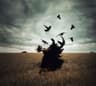 Victress_Virago Profilbild