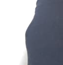 Raja