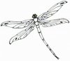 Dragonfly's picture